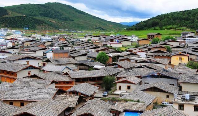 哈尔滨白狐没忍住尿了，游客让赔1500块，网友：免费司机长点心吧